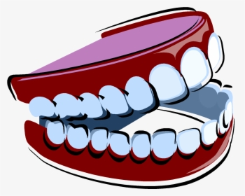 Clip Art False Teeth Clipart - Dentures Clipart, HD Png Download, Free Download