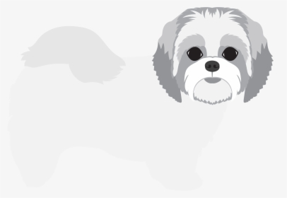 Tzu,carnivore,companion Dog,chinese Imperial Dog,l�wchen,kyi - Shih-poo, HD Png Download, Free Download