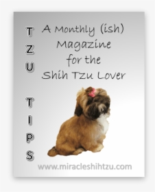 Free Shih Tzu Magazine - Shih Tzu, HD Png Download, Free Download