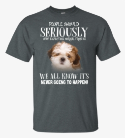 Shih Tzu Dog People Should Seriously Stop Expecting - Mal-shi, HD Png Download, Free Download