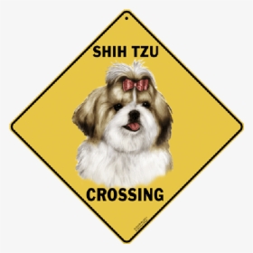 Tortoise Crossing Sign, HD Png Download, Free Download