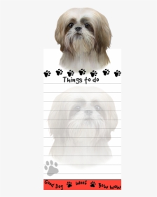 Shih Tzu, Tan And White Puppy Cut - Shih Tzu, HD Png Download, Free Download