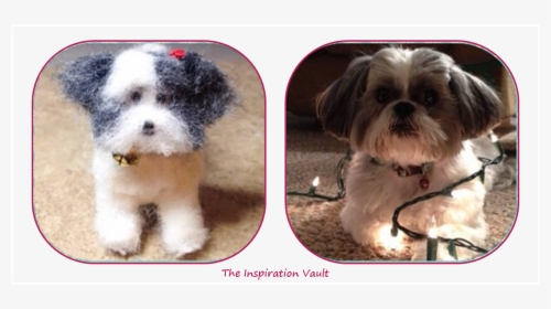 Polymer Shih Tzu Dog Comparison - Companion Dog, HD Png Download, Free Download