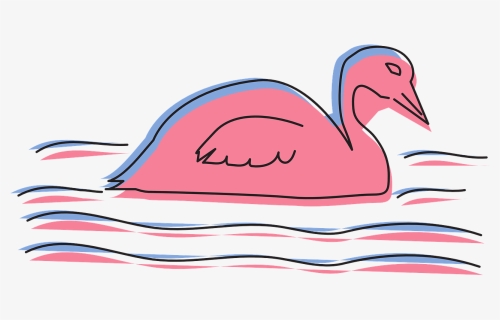 Water, Pink, Bird, Duck, Style, Coot, Swimming, Ripples - Duck, HD Png Download, Free Download