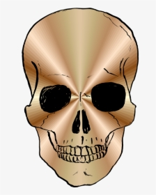Bronze Skull Png, Transparent Png, Free Download