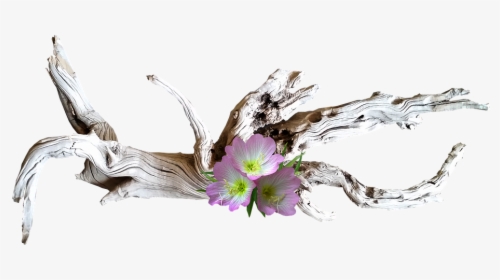 Pink, Flowers, With, Driftwood - Bois Flotté Avec Fleurs, HD Png Download, Free Download