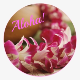 I Assume You Know What A Lei Is - Hawaiian Lei Flowers Wedding, HD Png Download, Free Download