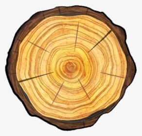 Tree Pruning Alpharetta, Ga - Tree Stump Circle Png, Transparent Png, Free Download