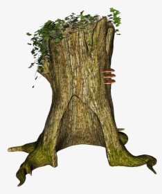 Tree Stump Rhizome Stubben Free Photo - Tronco Arbol Png, Transparent Png, Free Download