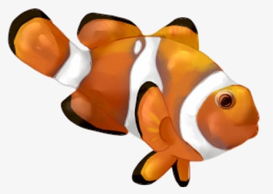 Clip Art Illustration Vector Graphics Clownfish Drawing - Clownfish Drawing, HD Png Download, Free Download