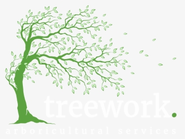 Arboricultural Services Treework Ltd - نقاشی درخت فصل بهار, HD Png Download, Free Download