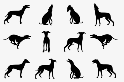Whippet Silhouettes Vector - Greyhound Clip Art, HD Png Download, Free Download