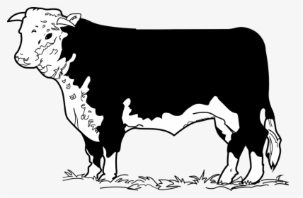 Cow, Grass, Standing, Animal, Pasture - Beef Cow Clip Art, HD Png Download, Free Download