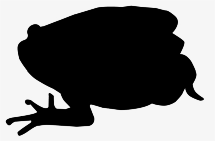 Related Pictures White Frog Silhouette With Black Background - Silhouette, HD Png Download, Free Download