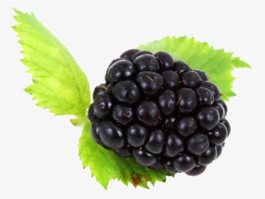 Blackberry With Leaves Png Image - Transparent Background Blackberry Png, Png Download, Free Download