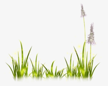 Portable Network Graphics Image Clip Art Lavender Painting - Transparent Background Free Garden Clipart, HD Png Download, Free Download