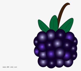 Berry Vector Blackberry - Blackberry Pie, HD Png Download, Free Download
