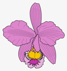 Petal Clipart Cattleya Orchids Moth Orchids - Cattleya Trianae Icon, HD Png Download, Free Download