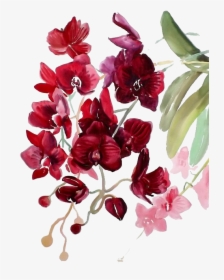 Orchid Transparent Watercolor - Red Flowers Watercolor Png, Png Download, Free Download