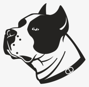 American Pit Bull Terrier Staffordshire Bull Terrier - Dog Vector, HD Png Download, Free Download