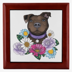 Pitbull Jewelry Box - Picture Frame, HD Png Download, Free Download