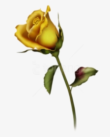Transparent Rose Bud Png - Single Yellow Rose Tattoo, Png Download, Free Download