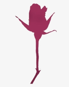 Pink Rosebud Art Png Clipart Free Download - Silhouette, Transparent Png, Free Download
