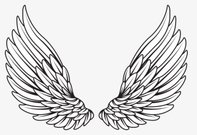Angel Wings Vector Png, Transparent Png, Free Download