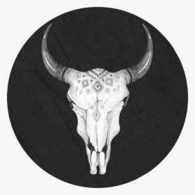 Transparent Bull Skull Png - Placa De Transito Proibido Estacionar, Png Download, Free Download