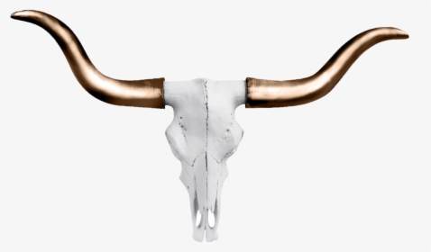 Mini Faux Texas Longhorn Cow Skull Wall Hanging Sculpture - Cow Horns Png Gold, Transparent Png, Free Download