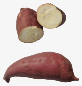 The Murasaki Sweet Potato, HD Png Download, Free Download