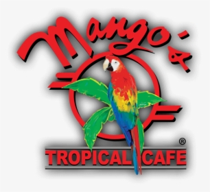 Mango"s Tropical Café Logo, HD Png Download, Free Download