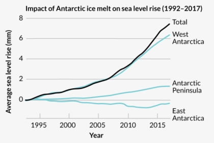 A Graph Showing The Impact Of Antarctic Ice Melt On - Polar Ice Caps Melting Graph, HD Png Download, Free Download