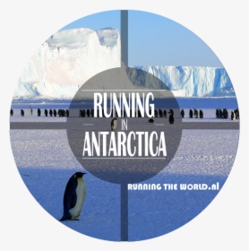 Running In Antarctica - Antarctica Background With Penguins, HD Png Download, Free Download