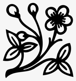 Art,symmetry,monochrome Photography - Flower Design Drawing With Colour, HD Png Download, Free Download