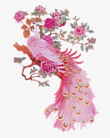 Peacock Clipart Pink, HD Png Download, Free Download
