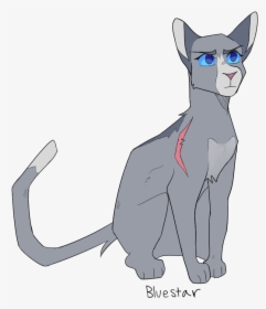Cat Yawns, HD Png Download, Free Download