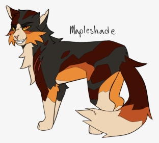 Image - Warrior Cats Mapleshade Design, HD Png Download, Free Download