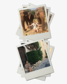 Picture Frame, HD Png Download, Free Download