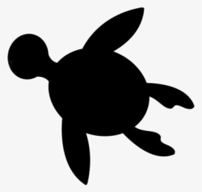 Cute Turtle Png Background - Kemp's Ridley Sea Turtle, Transparent Png, Free Download