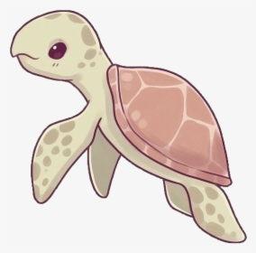 #turtle #sealife #sea #ocean #cute #kawaii #naomilord - Hawksbill Sea Turtle Drawing, HD Png Download, Free Download