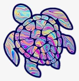 Turtle Cute Rainbow Tiedye Tumblr - Turtle Sticker Transparent Background, HD Png Download, Free Download