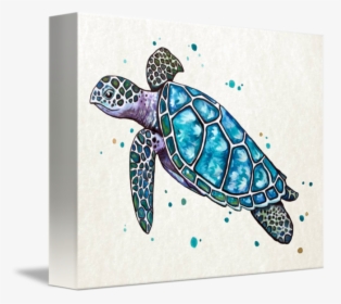 Sea Turtle In Watercolor - Turtle Watercolor, HD Png Download, Free Download