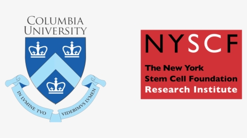 2018 Summer Research Program Application Cover Letter - New York Stem Cell Foundation, HD Png Download, Free Download