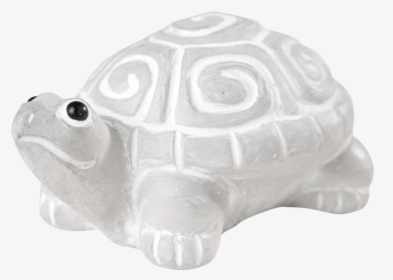Chelonoidis, HD Png Download, Free Download