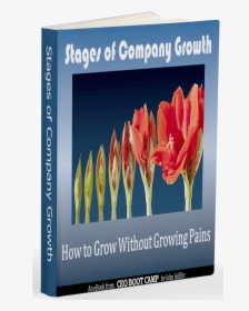 Stages Of Company Growth Ebook - Bird Of Paradise, HD Png Download, Free Download