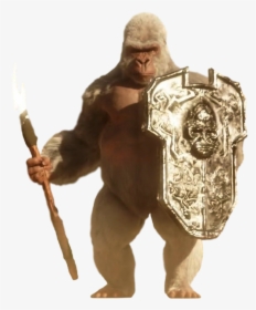 Flash Solovar, HD Png Download, Free Download