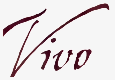 Vivo 2000 Lm - Calligraphy, HD Png Download, Free Download