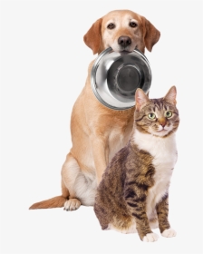 Whole Food Nutrition Dog And Cat - Dog, HD Png Download, Free Download