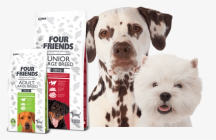 Premium Quality Dog Food - Dog Food Banner Png, Transparent Png, Free Download
